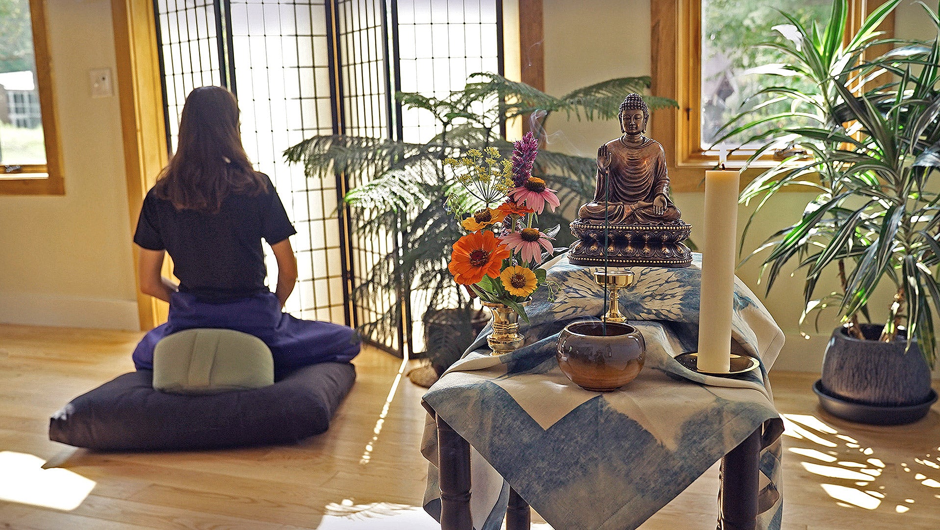 Cultivate Peace at Home