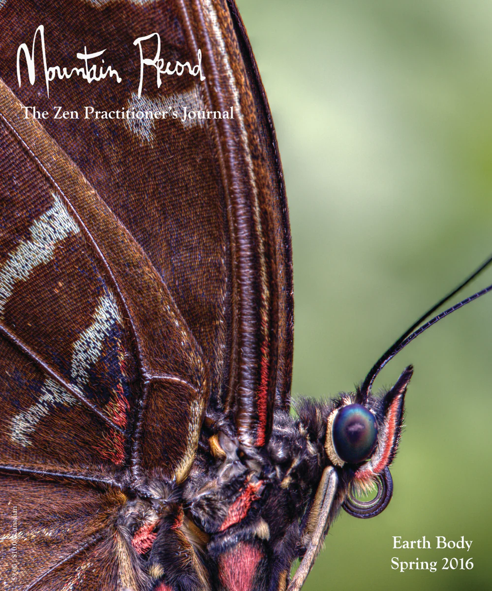 Earth Body - Mountain Record, Vol. 34.3, Spring 2016