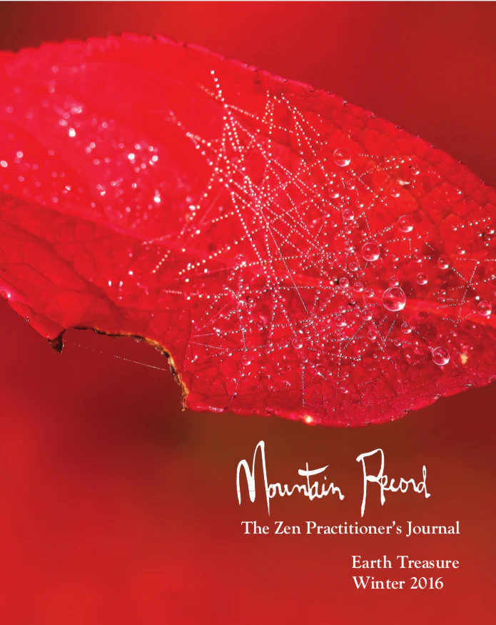 Earth Treasure - Mountain Record, Vol. 34.2, Winter 2016