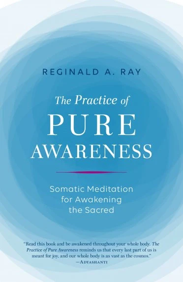 The Practice of Pure Awareness